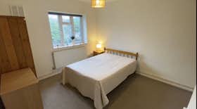 私人房间 正在以 £1,170 的月租出租，其位于 London, Lochinvar Street