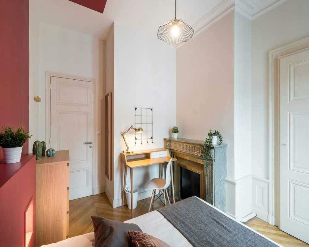 Private room for rent on Rue de la République, Lyon - Vue 4