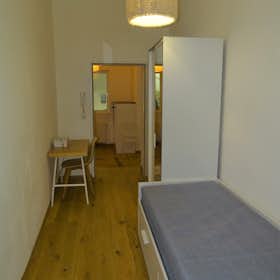 Private room for rent for €450 per month in Vienna, Braunhirschengasse