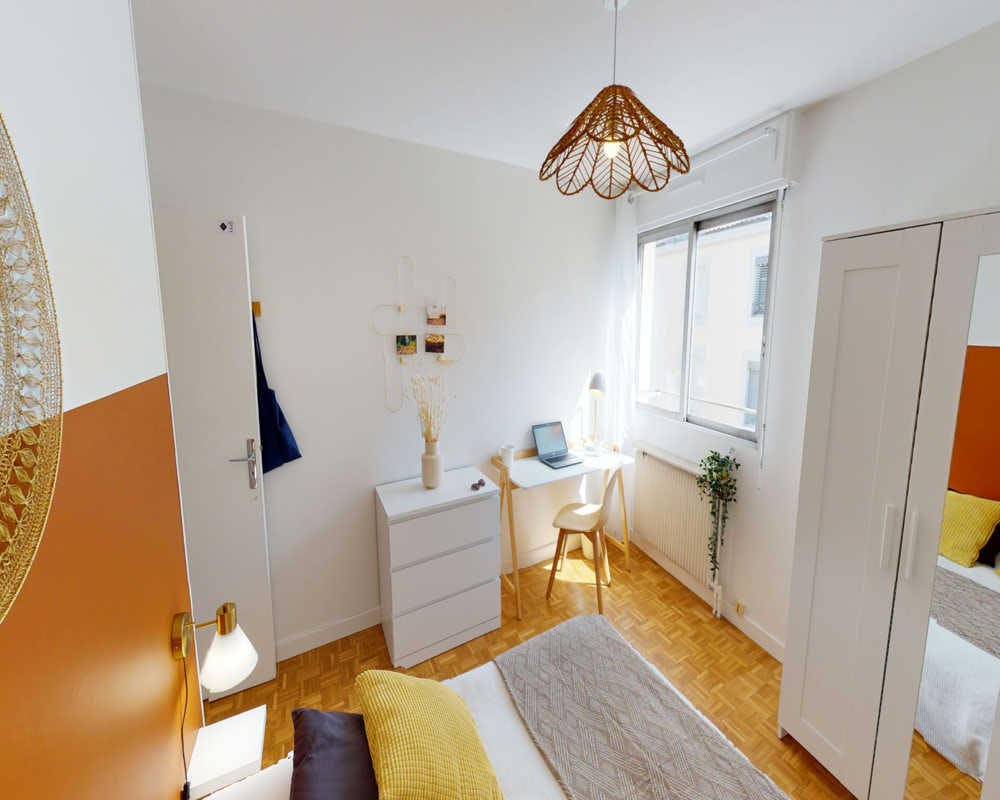 Rue Salomon Reinach, Lyon preview