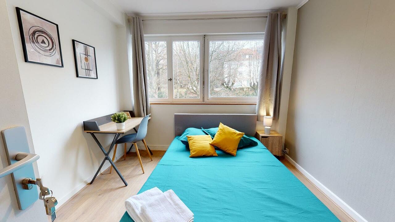 Rue du Petit Revoyet, Oullins-Pierre-Bénite preview