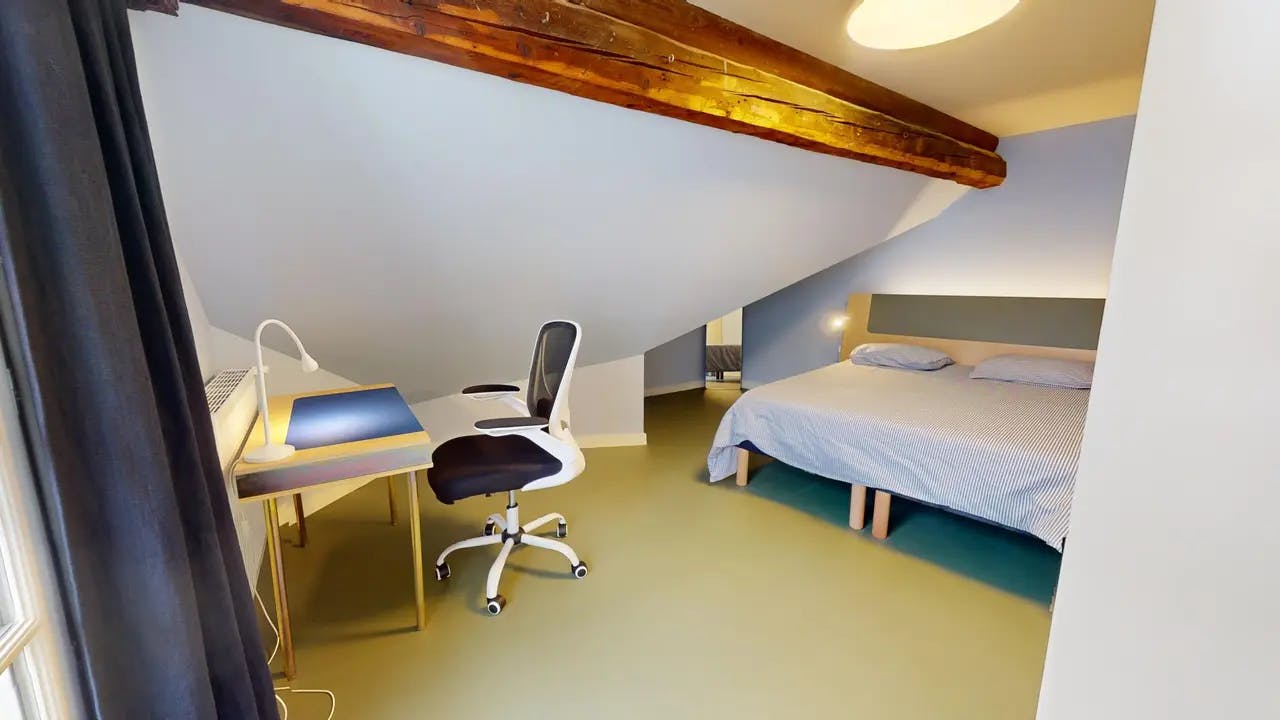 Private room in Rue Bourgneuf, Saint-Étienne (1460282) room image 2