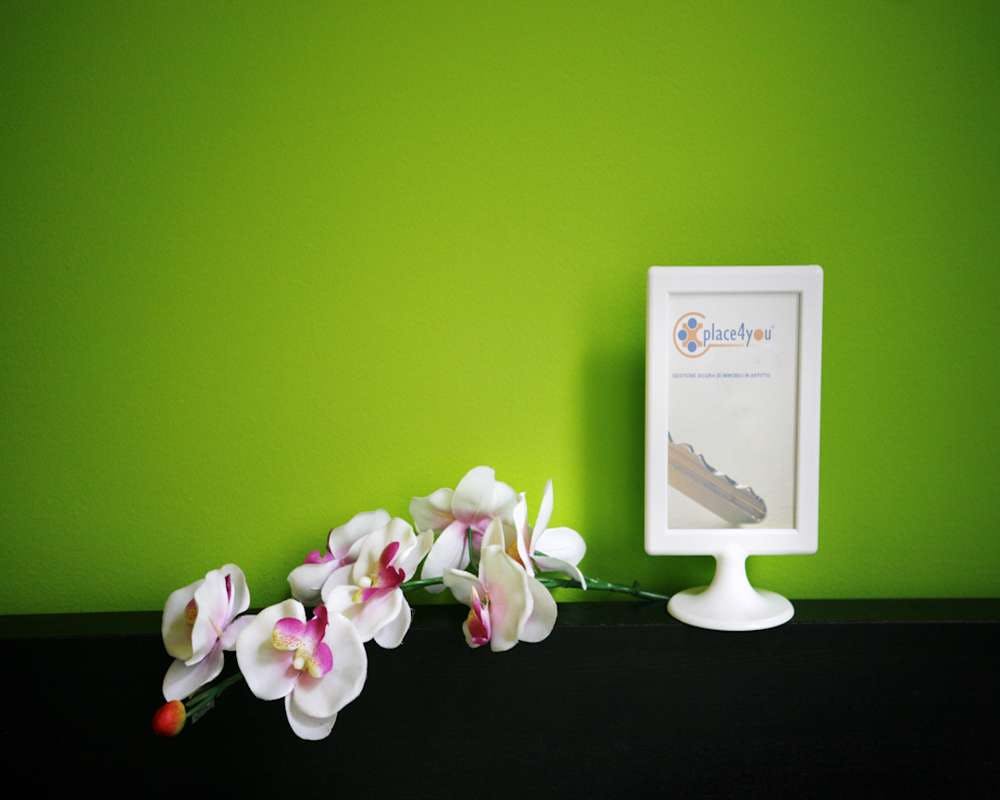 Via Niccolo Paganini, Milan