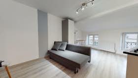 Appartement te huur voor € 380 per maand in Saint-Étienne, Rue Claude Delaroa
