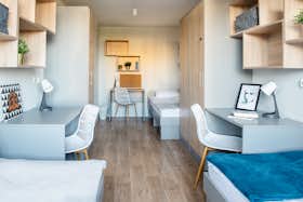 Shared room for rent for PLN 900 per month in Kraków, ulica Koszykarska