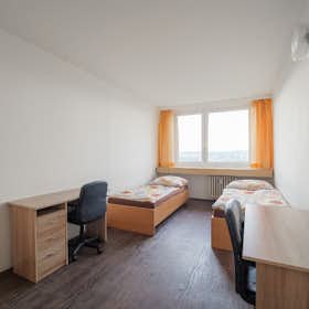 共用房间 正在以 CZK 10,000 的月租出租，其位于 Prague, Kutilova