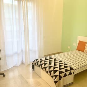 Private room for rent for €650 per month in Florence, Viale Francesco Redi