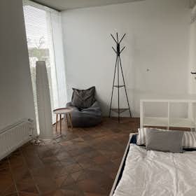 WG-Zimmer for rent for 725 € per month in Aachen, Simpelvelder Straße