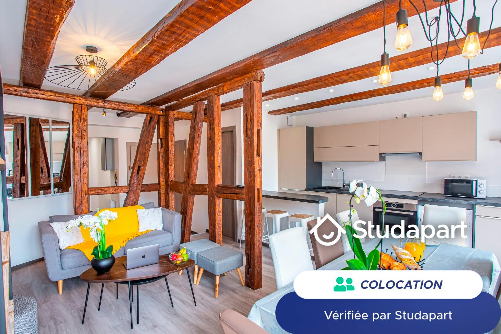WG-Zimmer zu mieten für 500 € pro Monat in Colmar, Grand'Rue