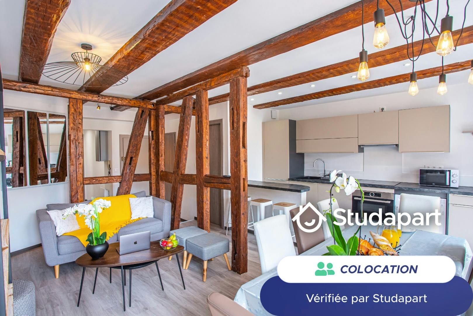 Private room for rent for €500 per month in Colmar, Grand'Rue