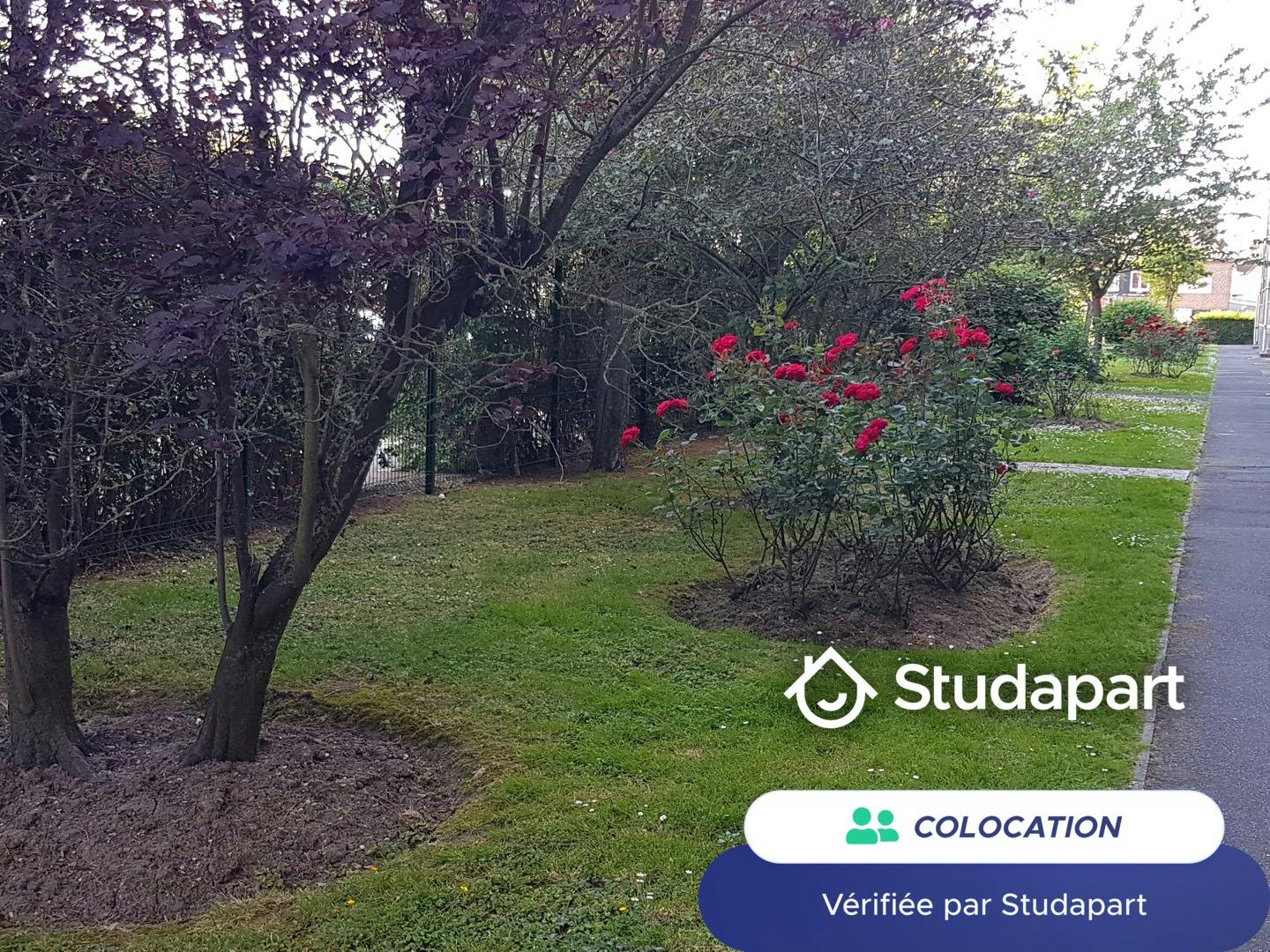 Private room for rent on Avenue de Dunkerque, Lille - Vue 5