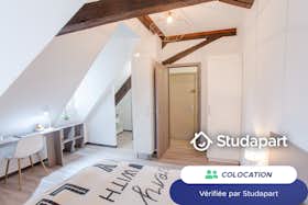 Приватна кімната за оренду для 480 EUR на місяць у Colmar, Grand'Rue