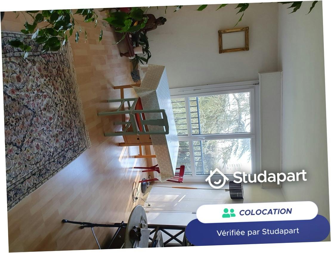 Private room for rent on Rue de Wassy, Nantes - Vue 3