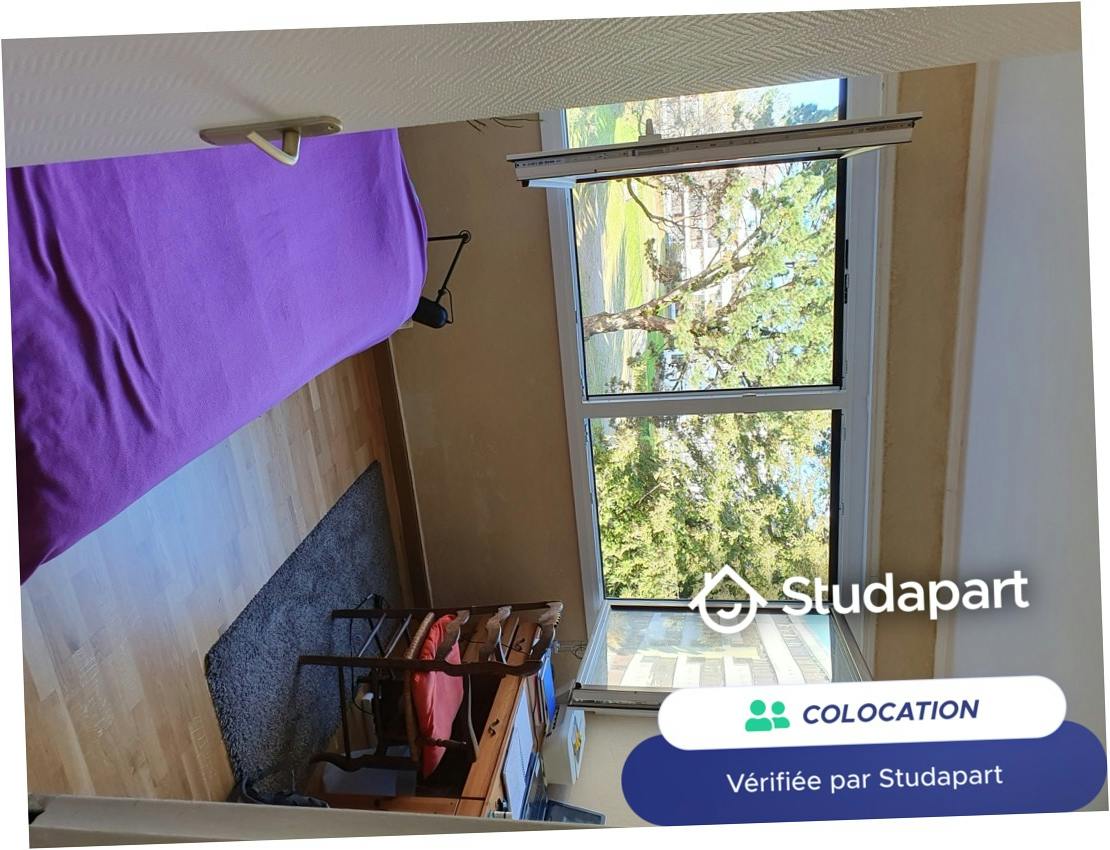 Private room for rent on Rue de Wassy, Nantes - Vue 4