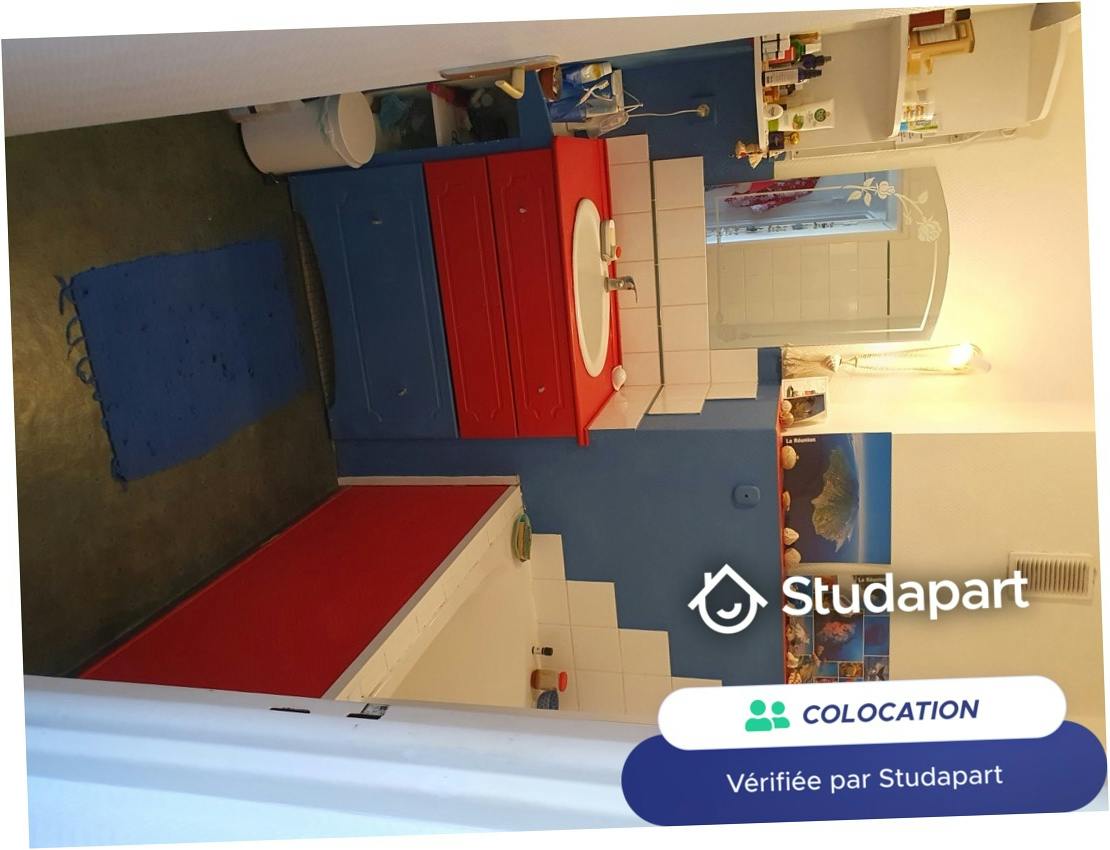 Private room for rent on Rue de Wassy, Nantes - Vue 5