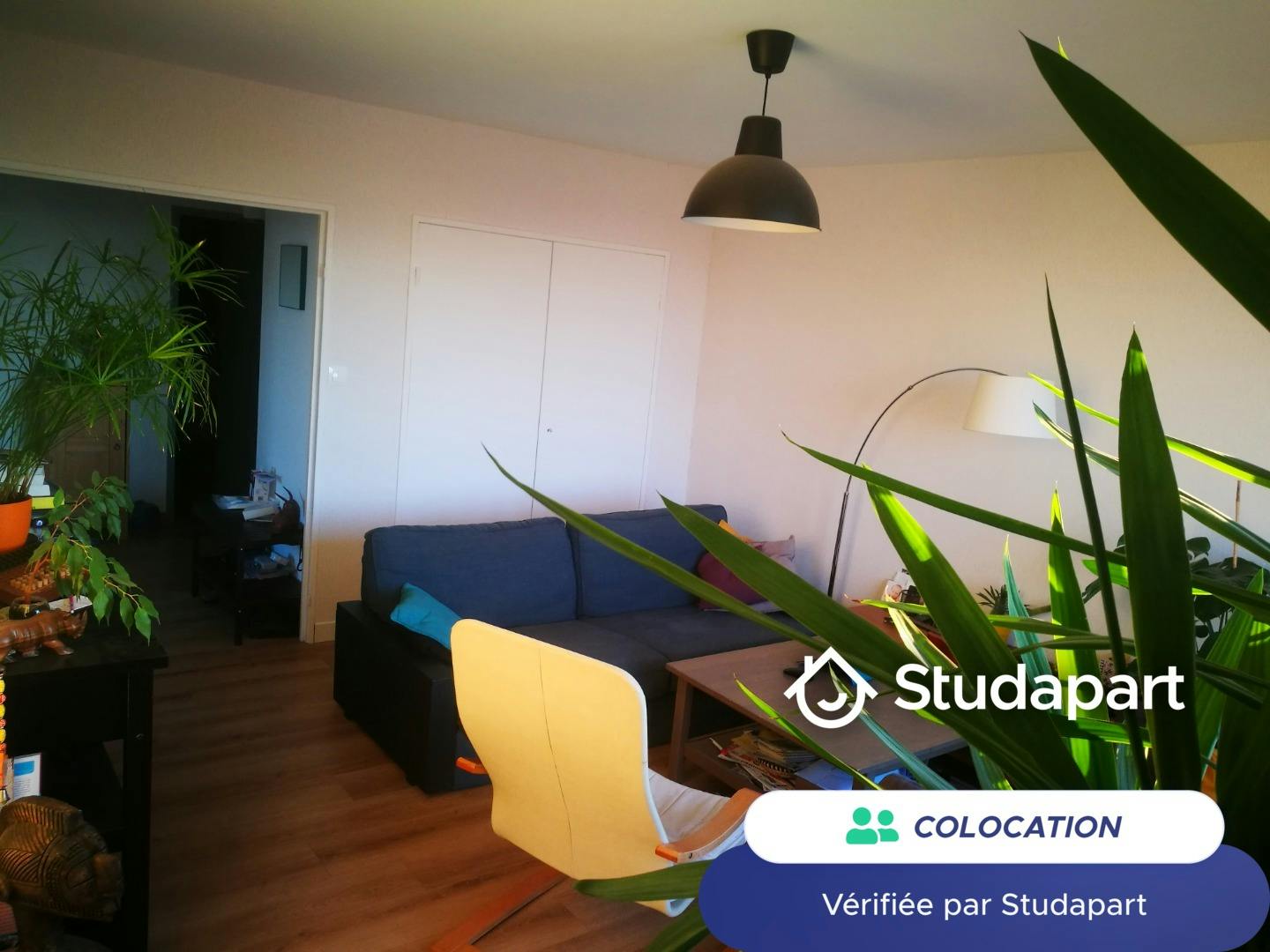 Private room for rent on Allée des Pinsons, Nantes - Vue 3