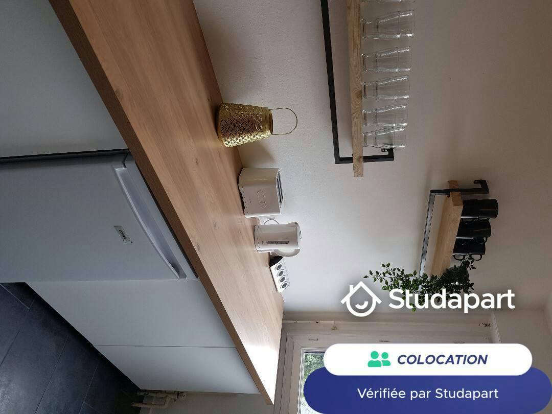 Private room for rent on Avenue de l'Armorial, Nantes - Plus