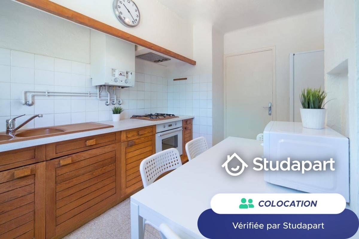 Private room for rent on Rue du Professeur Louis Thomas, Montpellier - Görünüm 4