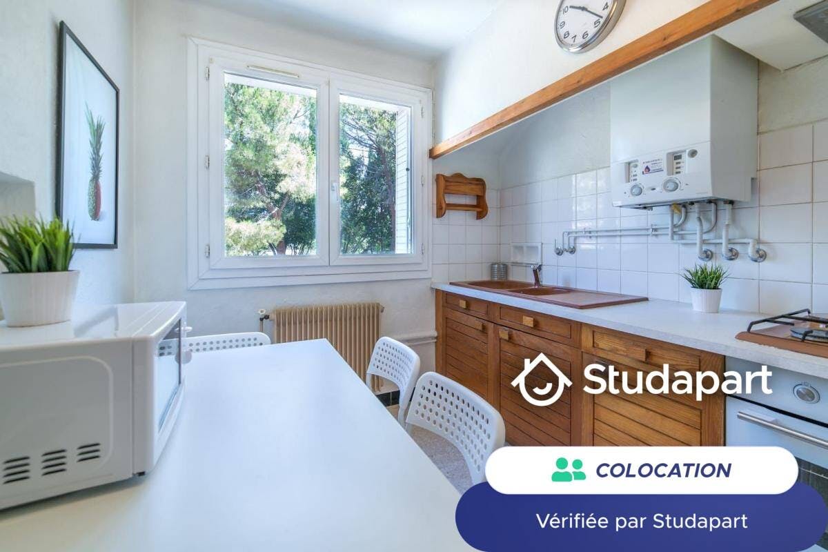 Private room for rent on Rue du Professeur Louis Thomas, Montpellier - Görünüm 6