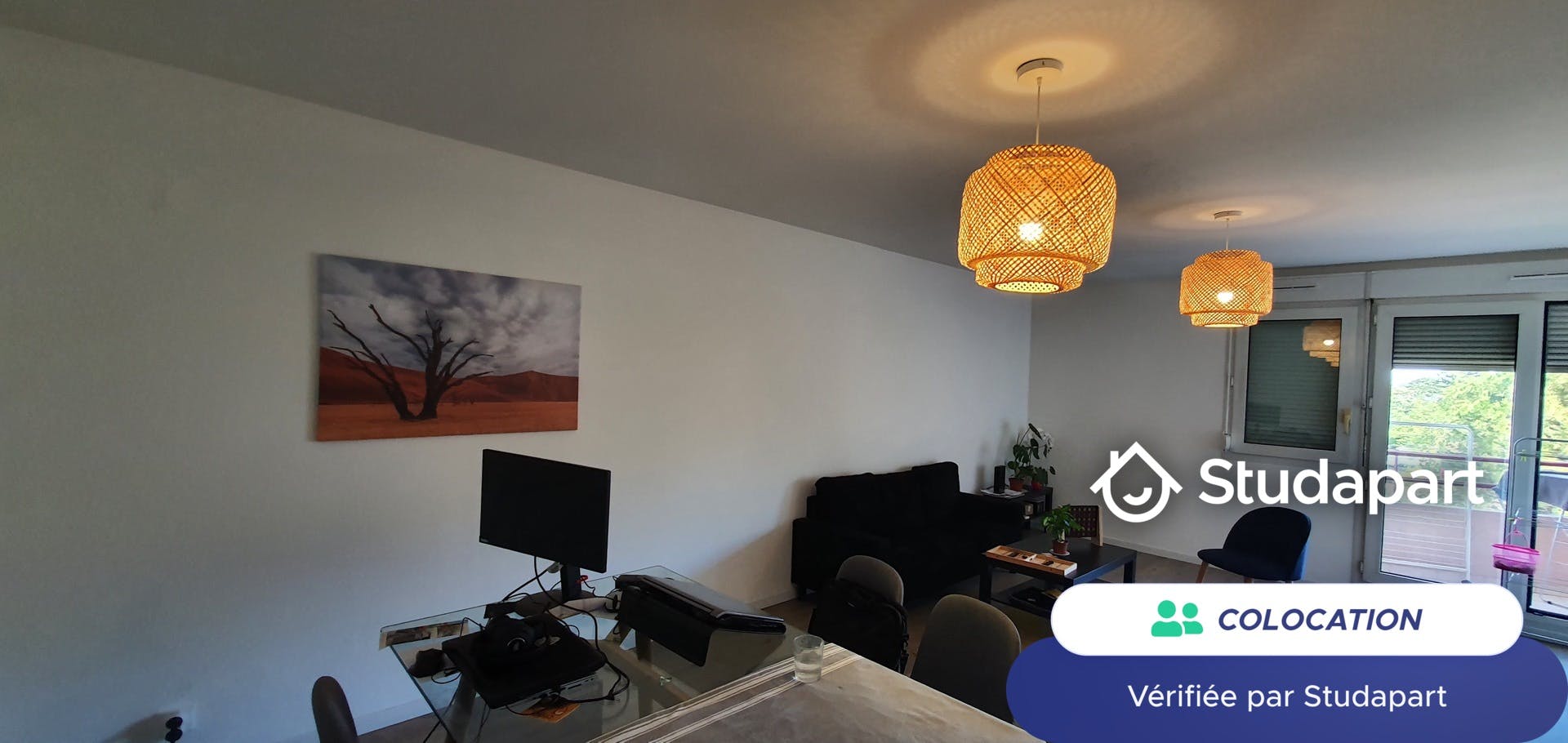 Private room for rent for €520 per month in Montpellier, Avenue du Professeur Louis Ravas