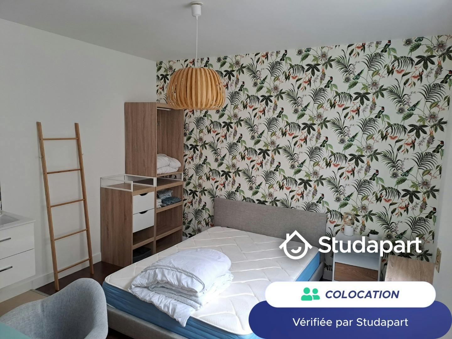 Private room for rent on Rue de la Malsence, Lille - Plus