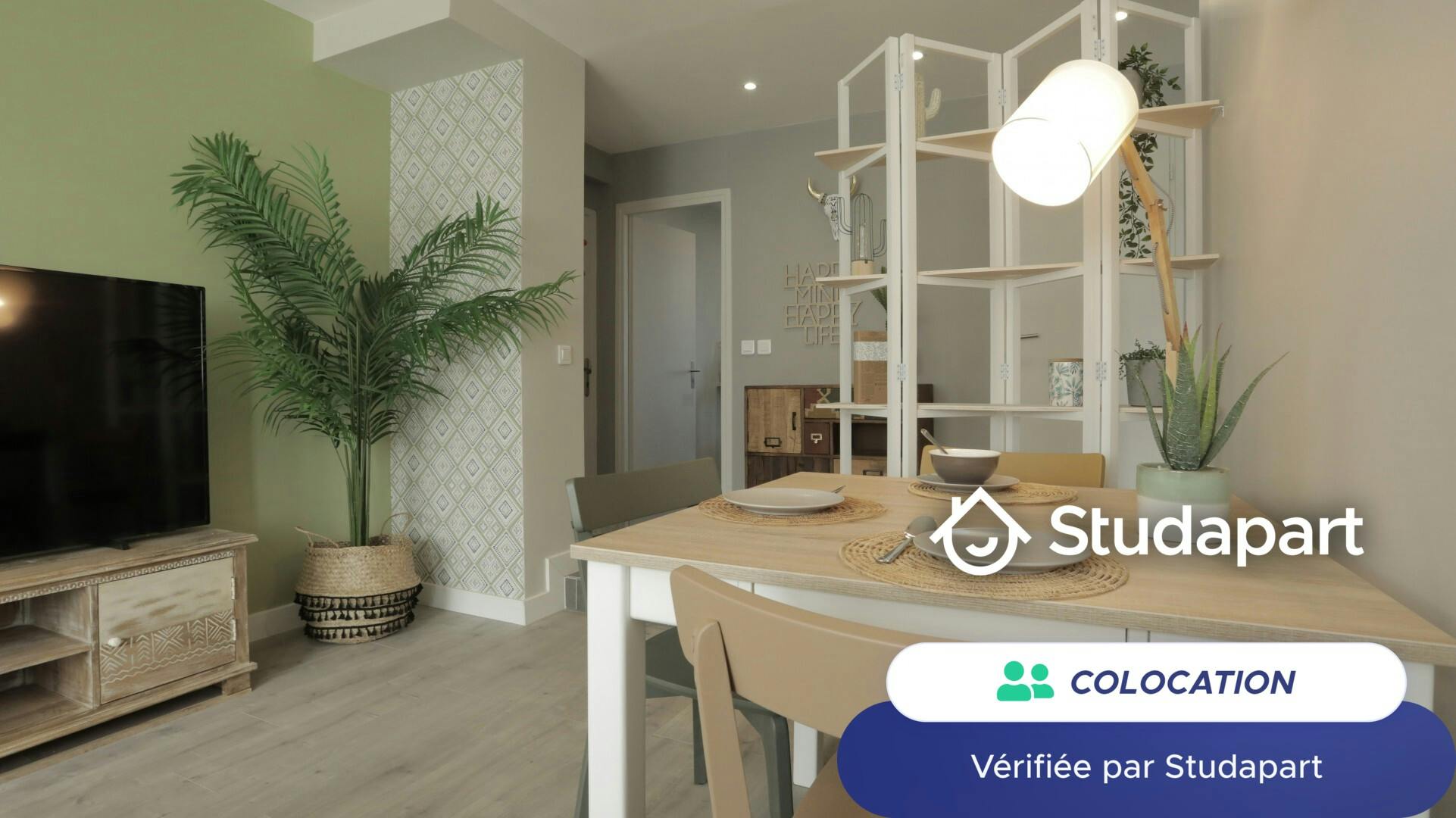 Private room for rent on Rue Louis-Antoine de Bougainvillé, Toulouse - Plus