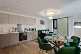 公寓 正在以 £1,295 的月租出租，其位于 Birmingham, Sheepcote Street