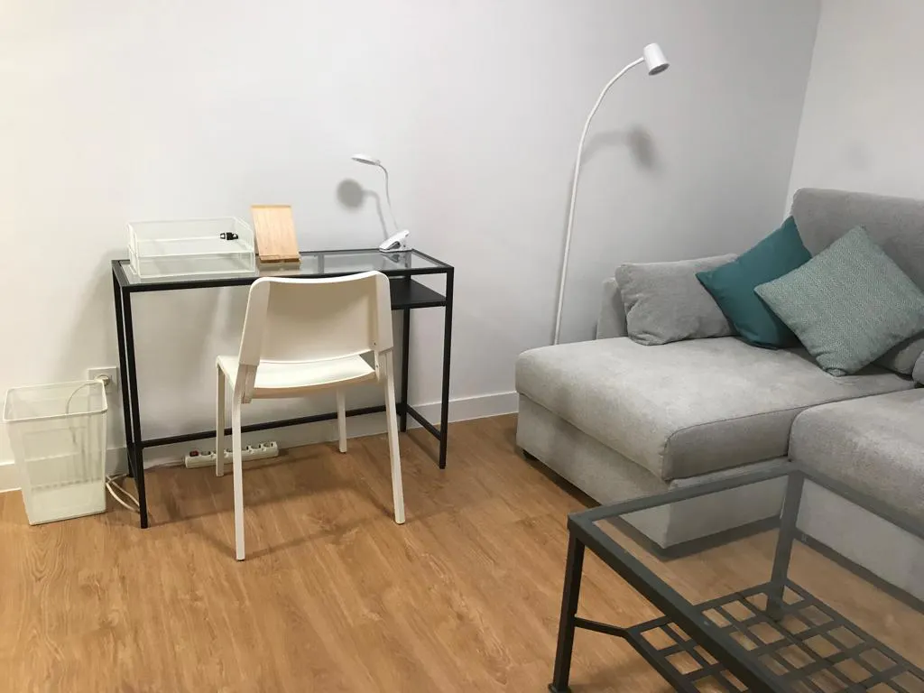1-Bedroom Apartment in Calle de Alfonso X, Madrid (1464521) ROOM 3