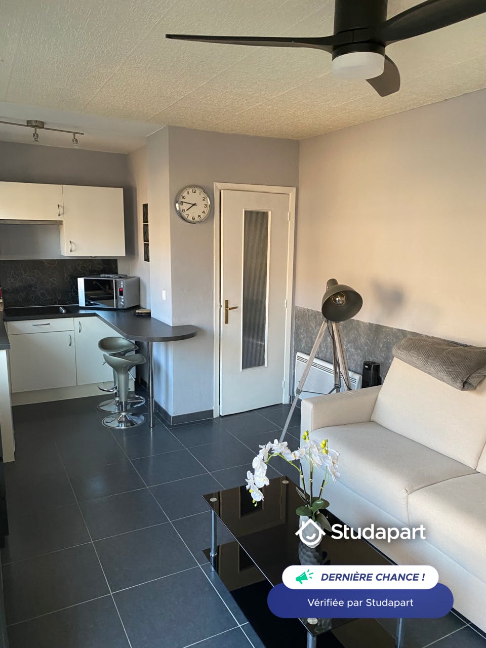 Apartment for rent on Avenue Docteur Dautheville, Antibes