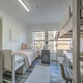 Habitación compartida en alquiler por $900 al mes en Berkeley, Channing Way