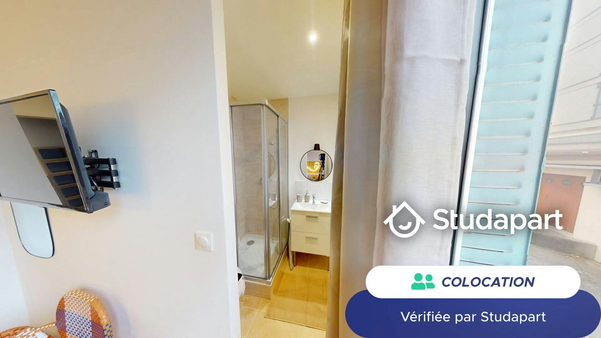 Private room for rent on Rue de Margnolles, Caluire-et-Cuire - Näkymä 3