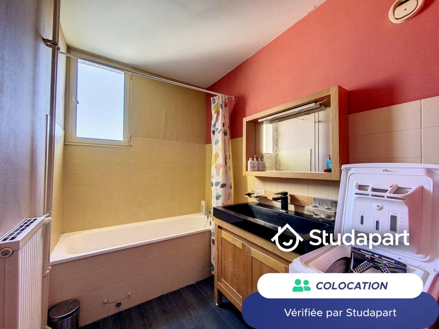 Private room for rent on Impasse des Bosquets, Toulouse - Plus