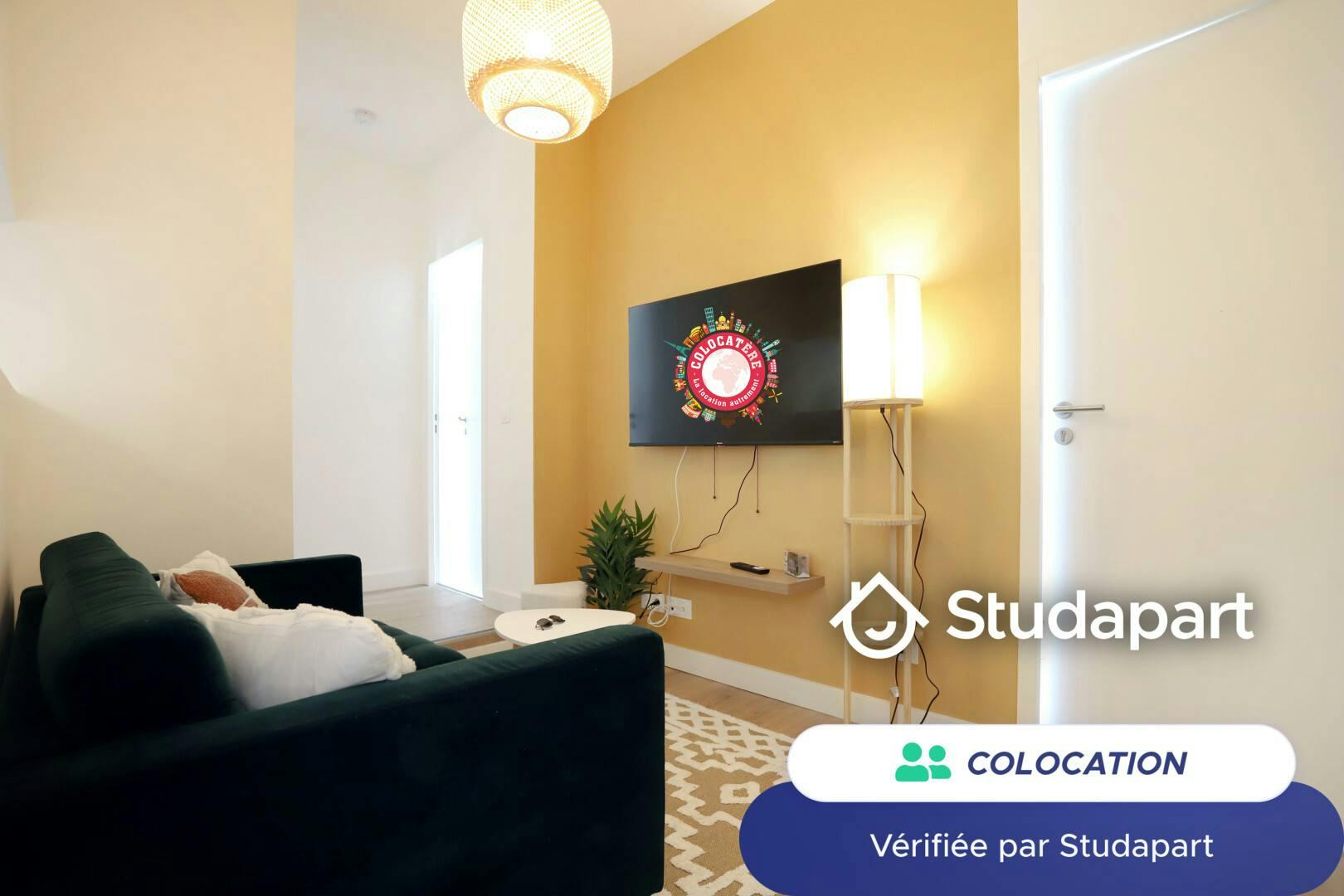 Private room for rent on Boulevard Victor Hugo, Nantes - Vue 3