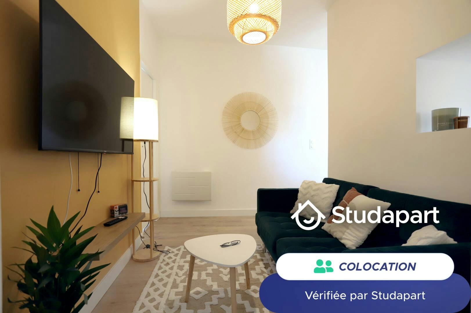 Private room for rent on Boulevard Victor Hugo, Nantes - Vue 4