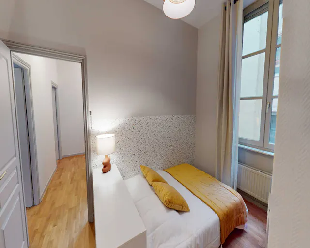 Private room in Rue du Président Édouard Herriot, Lyon (1466266) room image 2