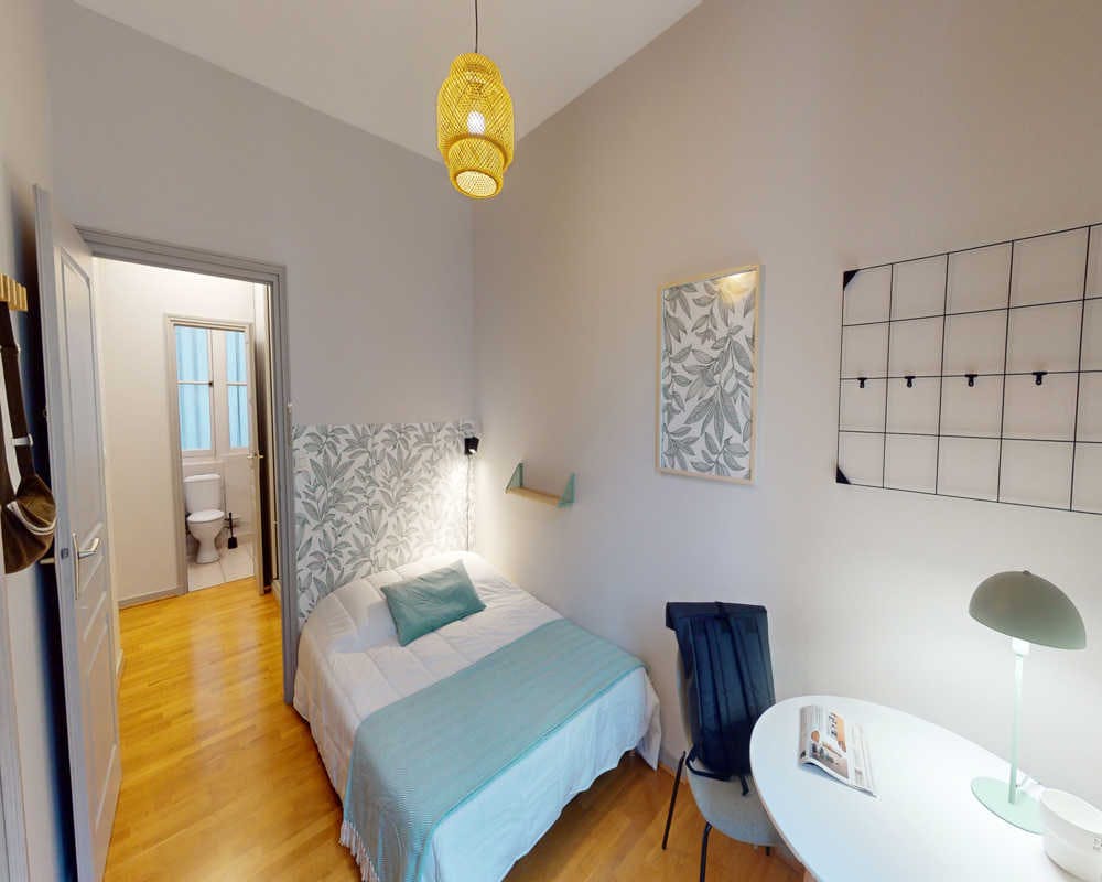 Rue du Président Édouard Herriot, Lyon preview