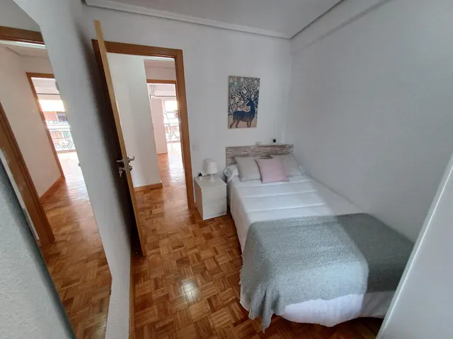 Private room in Calle de Maseda, Madrid (1466607) room image 1