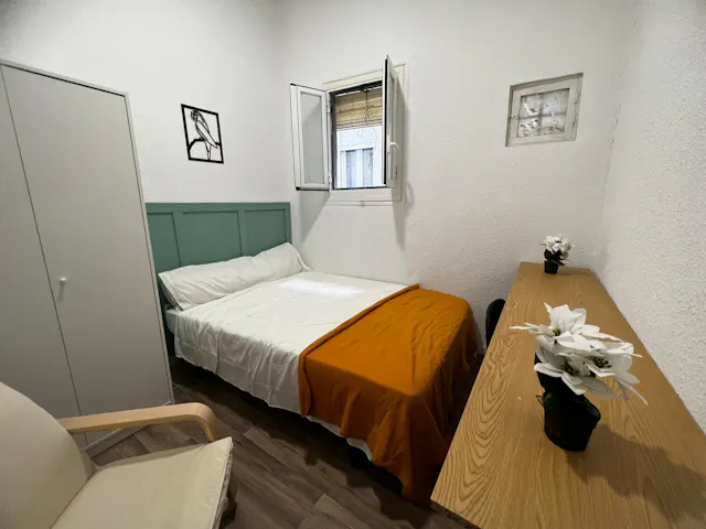 Private room in Calle de Salitre, Madrid (1467456) room image 1