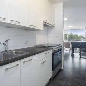 Apartment for rent for €1,890 per month in Rotterdam, Den Uylsingel