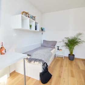 WG-Zimmer for rent for 649 € per month in Vienna, Kaisermühlenstraße