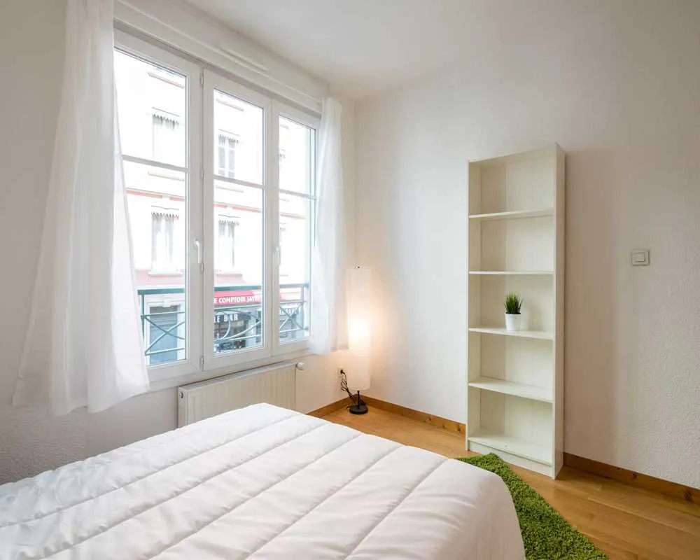 Private room in Rue Etienne Jayet, Lyon (1467947) ROOM 2