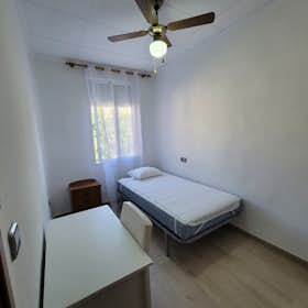 Private room for rent for €300 per month in Murcia, Plaza Mayor