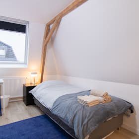 单间公寓 for rent for €1,050 per month in Tilburg, Hoefstraat