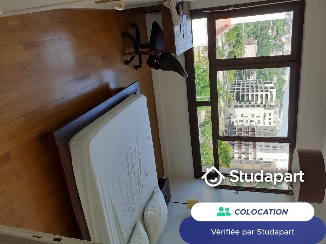 Private room for rent on Cours Charlemagne, Lyon - Ansicht 6