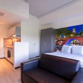 单间公寓 正在以 €3,000 的月租出租，其位于 Utrecht, Vleutensevaart