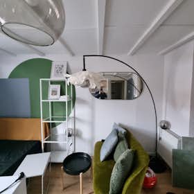 Cameră privată de închiriat pentru 1.050 EUR pe lună în The Hague, Trembleystraat