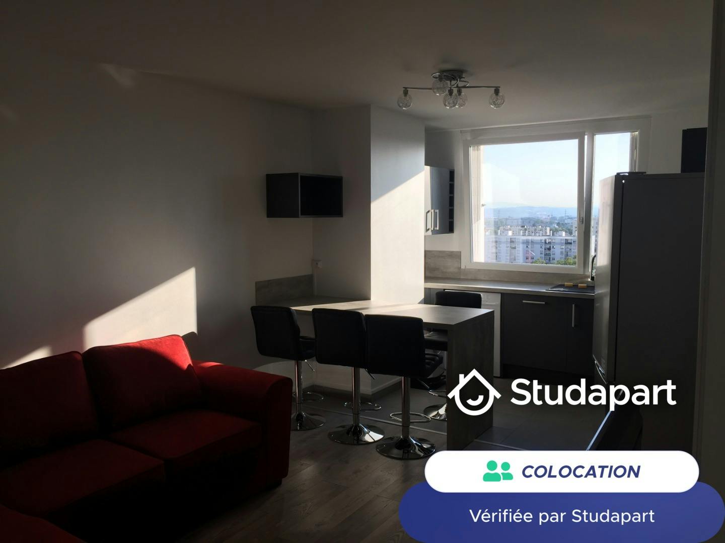 Private room for rent on Rue Philippe Fabia, Lyon - Vue 3