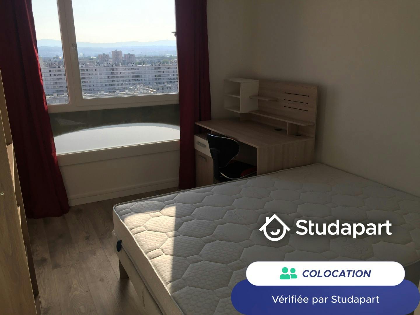 Private room for rent on Rue Philippe Fabia, Lyon - Plus