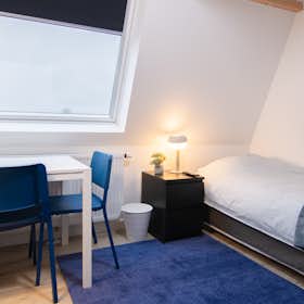 WG-Zimmer for rent for 1.050 € per month in Tilburg, Hoefstraat