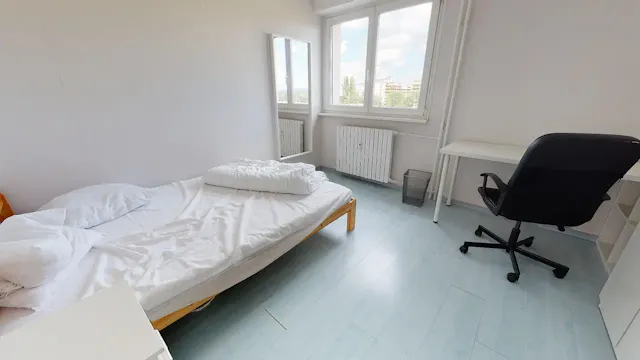 Private room in Rue d'Orbey, Strasbourg (1469804) room image 2